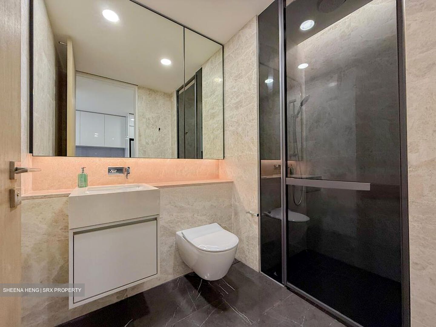 Amber Park (D15), Condominium #473826231